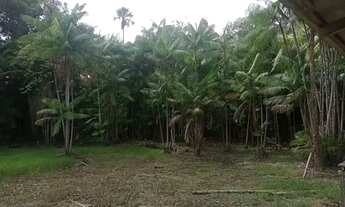 Imagem 2: Vendo sitio com 100 hectares