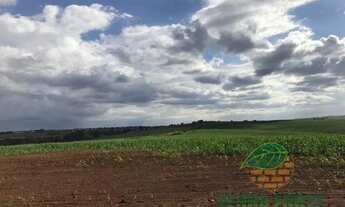 Imagem 7: Chácara à venda 1 Quarto, 774400M², Vila Ipiranga, Londrina - PR