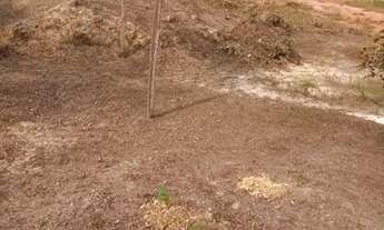 Imagem: TERRENO NA BR 319