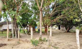 Imagem 6: Casa em tepequem