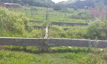 Imagem: Terreno grande com alicerce