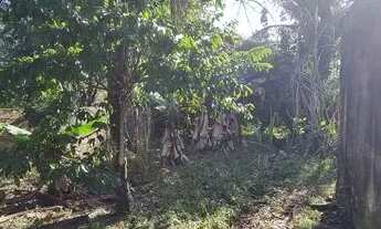 Imagem 7: Chácara a 800 metros da rodovia sendo 3 dormitórios