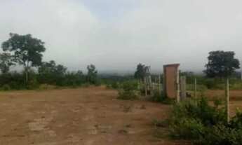 Imagem 6: Terreno perto do Rio São Francisco