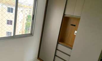 Imagem 3: Arboris buraquinho 2/4