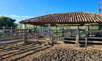 Imagem 7: 2453 - Excelente Fazenda de 155 HA em Itauna MG