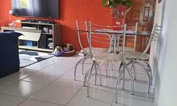 Imagem 5: Duas casas grandes no Jardim Rio Branco