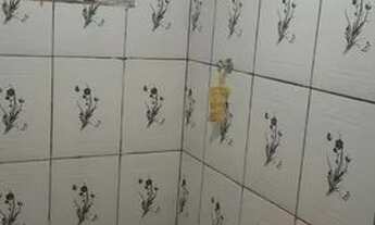 Imagem 3: Casa na QNP 15 P norte