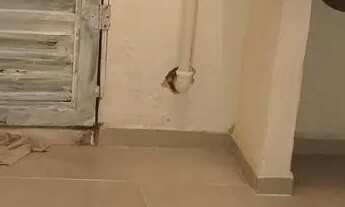 Imagem 5: Aluguel de quarto