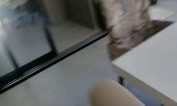 Imagem 3: Sobrado lindo Portinari, Paulínia