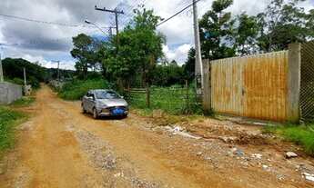 Imagem 6: Chacara 7.200 m², topografia plana, ótimo para chácaras, 75 km da Capital, F. Dias, B.Paul