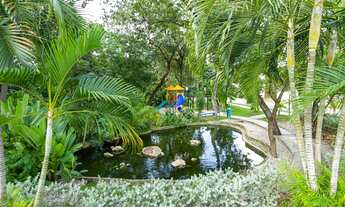 Imagem 4: Belvedere 1 - Preço de ocasião