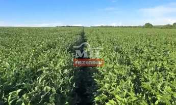 Imagem 5: Fazenda 38 Alqueires (183,08 Hectares) Rio Verde - Go