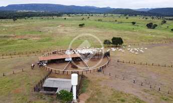 Imagem 4: FAZENDA À VENDA 695,50 HECTARES CUIABÁ/MT LOCALIZAÇÃO PRIVILEGIADA NA PISTA DUPLA codig