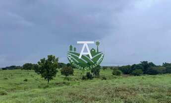 Imagem 5: 55 alq em Crixas GO