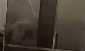 Imagem 4: SOBRADO - JARDIM AVELINO - SP