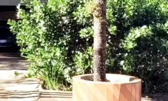 Imagem: Chácara na Igrejinha Anápolis