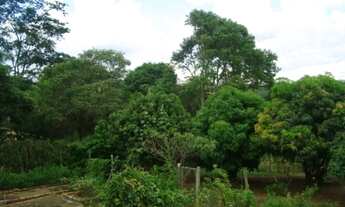 Imagem 3: Sítio em - Fazendinhas Rio Verde - Esmeraldas/MG