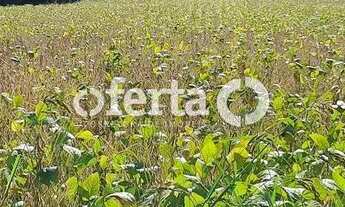 Imagem 4: OFERTA 1479 - CHÁCARA EM ARAUCÁRIA