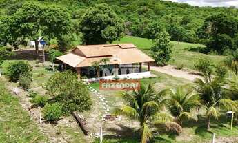 Imagem 6: Chácara 8.91 Alqueires (43.15 Hectares) Jandaia - GO