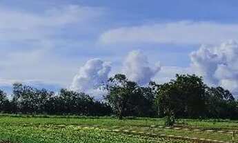 Imagem 6: Chácara em Abadia de Goiás
