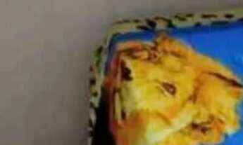 Imagem 3: Quartos em Colombo perto do Terminal Maracanã