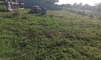 Imagem 2: Terreno no distrito da Matinha, valor para vender logo 25.000