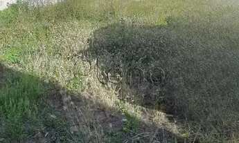 Imagem 5: Terreno à venda em Campinas, Botafogo, com 369 m²