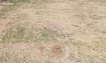 Imagem 2: Vende essa casa Casa com 1 dormitório