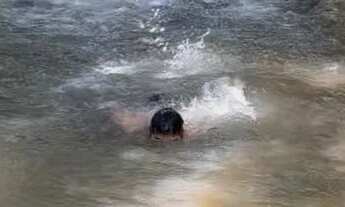 Imagem 3: Chácara com Córrego