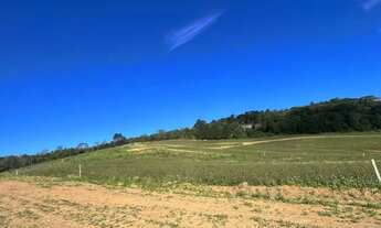 Imagem 14: Terreno de 600m² em bairro residencial R$50.000 à vista, entre em contato