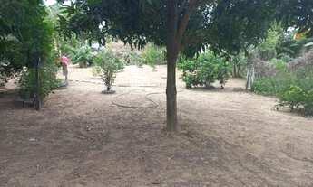 Imagem: Chácara medindo 1150 mts zona rural de