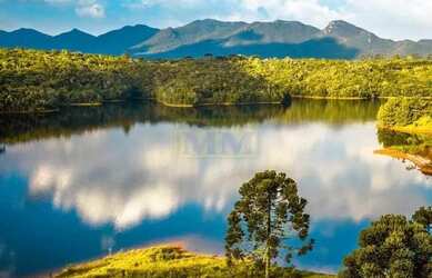 Imagem 7: Terrenos em condomínio fechado localizado em Piraquara/PR