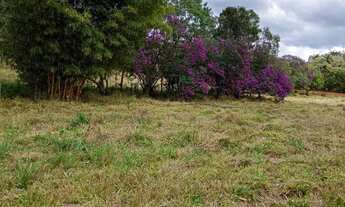 Imagem 7: Terreno em serra azul Mateus leme