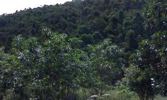 Imagem 3: Fazenda 15 Alqueires em Catuji/MG, a 60 km de Teófilo Otoni-MG