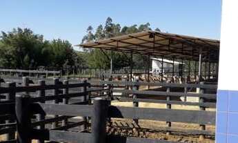 Imagem 6: Uma ótima Fazenda em Caçapava! À 7km da cidade!