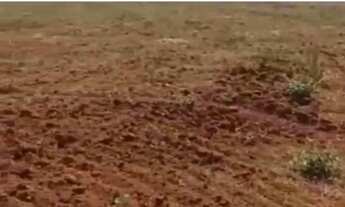 Imagem 3: Fazenda na região de Hidrolândia - GO