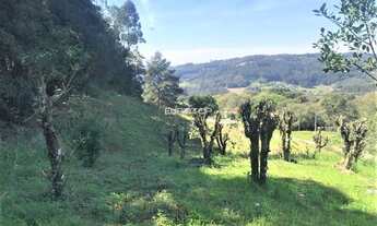 Imagem 5: Terreno em Tamandaré com 86,11m de frente!