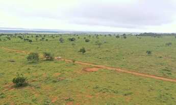 Imagem 3: Vendo Fazenda Cassilândia - MS