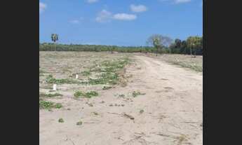 Imagem 4: Lote/Terreno a venda no Tabapuá em Caucaia - CE - Próximo ao Assai da Mister Hull