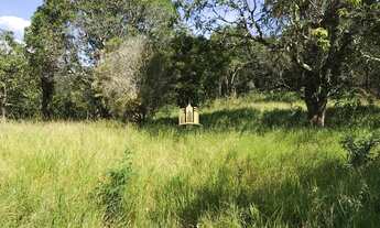 Imagem 7: Terreno no bairro Cidade Jardim - Esmeraldas