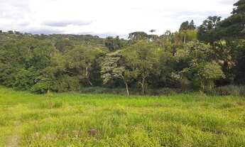 Imagem 4: Vendo meu terreno em Santa Isabel