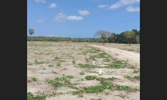 Imagem 7: Lote/Terreno a venda no Tabapuá em Caucaia - CE - Próximo ao Assai da Mister Hull