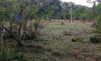 Imagem 4: Sítio cachoeiras de macacu