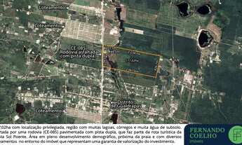 Imagem 3: Imovel Rural de 177 hectares com plantação de coqueiros e ampla casa com piscina