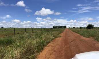 Imagem 7: Arrendamento para Lavoura Água Boa - MT