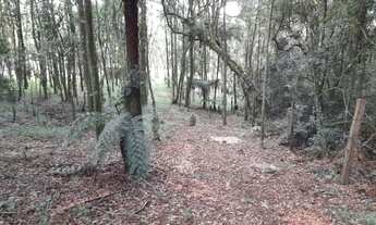 Imagem 6: Excelente Chácara com 4.500 m2 Muricy 290.000.00