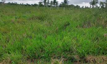 Imagem 1: Terreno em salgado Se