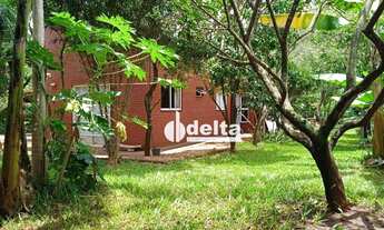 Imagem 2: Chácara com 3 dormitórios à venda, 1500 m² por R$ 630.000,00 - Parque Das Andorinhas - Ube