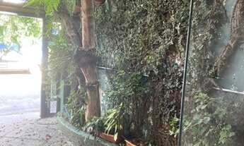 Imagem 4: SÃO PAULO - Casa Padrão - BROOKLIN