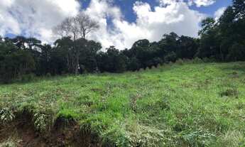 Imagem 7: Lotes com preços que cabem no seu bolso !